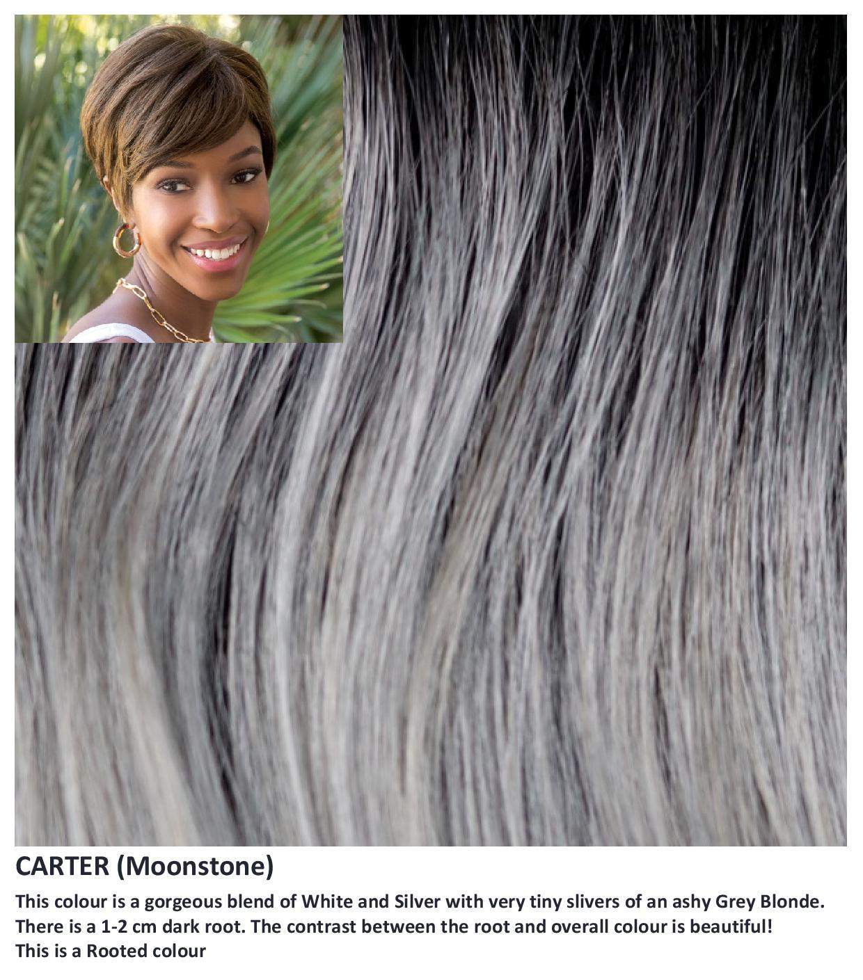 Orchid Collection :: Carter (VAT Exempt)