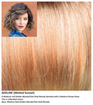 Adeline wig Rene of Paris Hi-Fashion (Medium) - Hairlucinationswigs Ltd