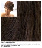 Albee wig Rene of Paris Alexander Couture (Short) - Hairlucinationswigs Ltd