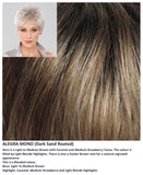 Alegra Mono wig Stimulate Art Class Collection (Short)