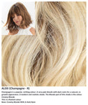Alexi wig Rene of Paris Noriko (Medium) - Hairlucinationswigs Ltd