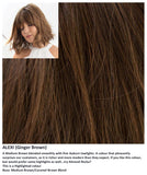 Alexi wig Rene of Paris Noriko (Medium) - Hairlucinationswigs Ltd