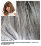 Alexi wig Rene of Paris Noriko (Medium) - Hairlucinationswigs Ltd