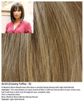 Alva wig Rene of Paris Noriko (Medium) - Hairlucinationswigs Ltd