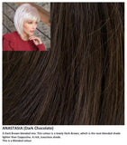 Anastasia wig Rene of Paris Hi-Fashion (Medium) - Hairlucinationswigs Ltd