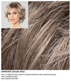 Armonia wig Stimulate Art Class Collection (Medium)