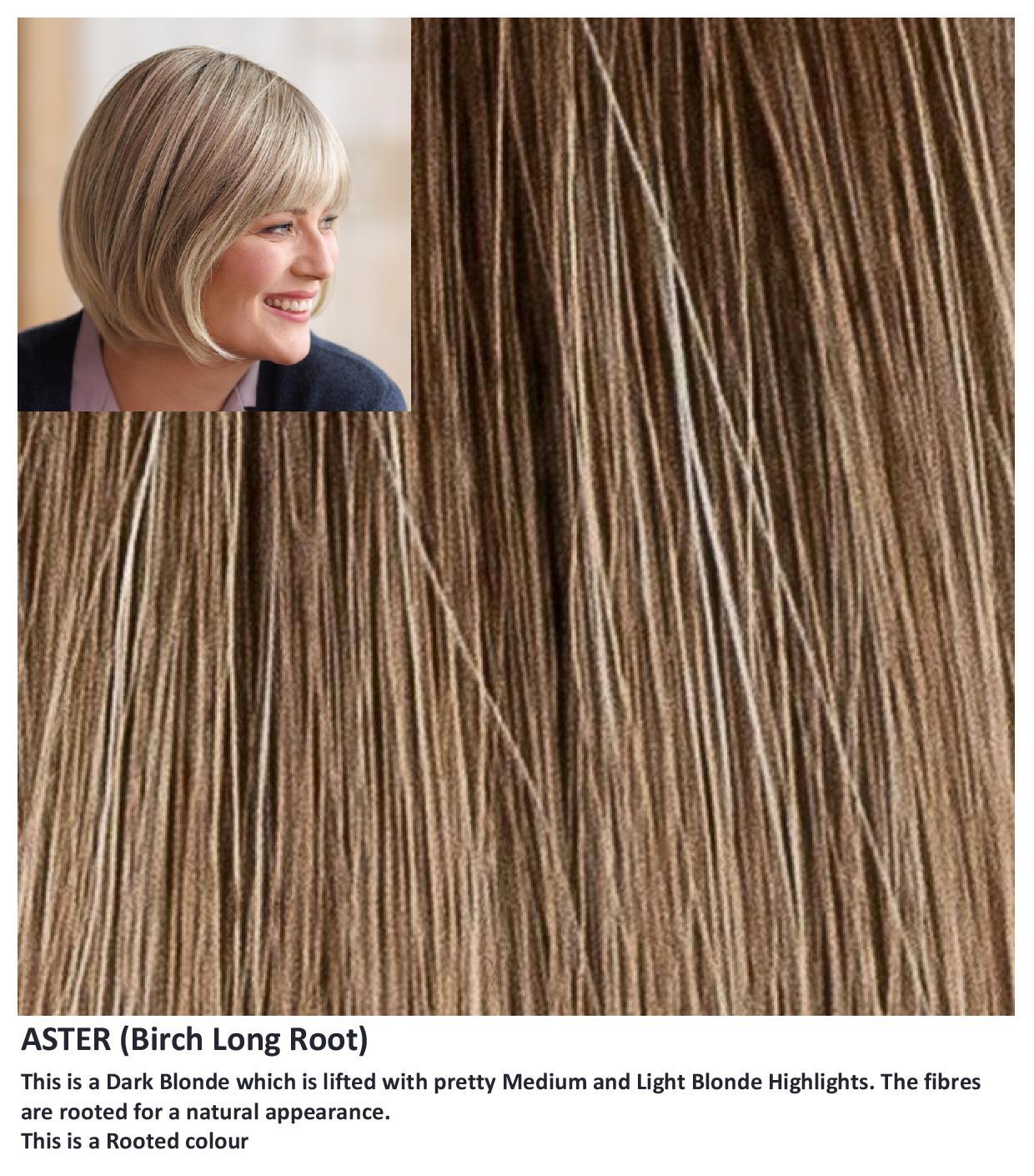 Sentoo Lotus :: Aster