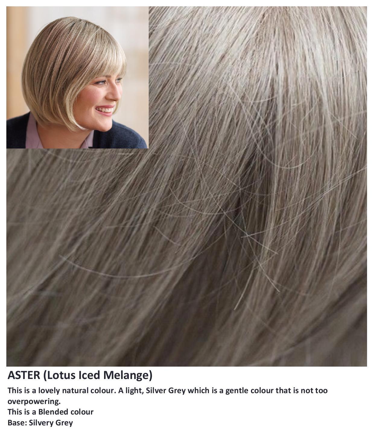 Sentoo Lotus :: Aster