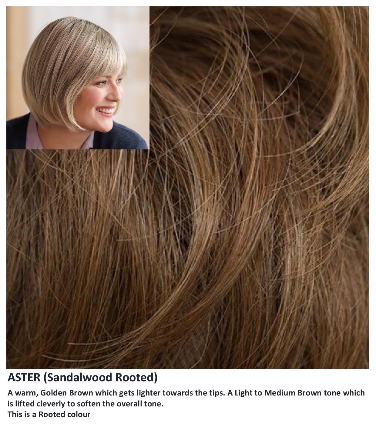 Sentoo Lotus :: Aster