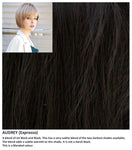 Audrey wig Rene of Paris Hi-Fashion (Short) - Hairlucinationswigs Ltd