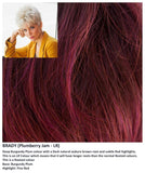 Brady wig Rene of Paris Noriko (VAT Exempt) - Hairlucinationswigs Ltd
