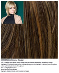 Cameron wig Rene of Paris Hi-Fashion (Medium) - Hairlucinationswigs Ltd