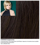 Cameron wig Rene of Paris Hi-Fashion (Medium) - Hairlucinationswigs Ltd