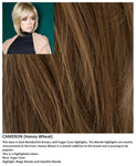 Cameron wig Rene of Paris Hi-Fashion (Medium) - Hairlucinationswigs Ltd