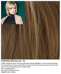 Cameron wig Rene of Paris Hi-Fashion (Medium) - Hairlucinationswigs Ltd