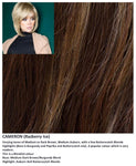 Cameron wig Rene of Paris Hi-Fashion (Medium) - Hairlucinationswigs Ltd