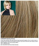 Cameron wig Rene of Paris Hi-Fashion (Medium) - Hairlucinationswigs Ltd