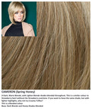 Cameron wig Rene of Paris Hi-Fashion (Medium) - Hairlucinationswigs Ltd