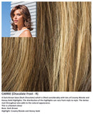 Carrie wig Rene of Paris Noriko (Medium) - Hairlucinationswigs Ltd