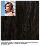 Carrie wig Rene of Paris Noriko (VAT Exempt) - Hairlucinationswigs Ltd