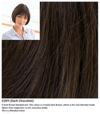 Cory wig Rene of Paris Noriko (VAT Exempt) - Hairlucinationswigs Ltd