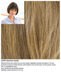 Cory wig Rene of Paris Noriko (Medium) - Hairlucinationswigs Ltd