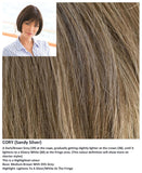 Cory wig Rene of Paris Noriko (Medium) - Hairlucinationswigs Ltd