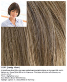 Cory wig Rene of Paris Noriko (VAT Exempt) - Hairlucinationswigs Ltd