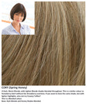 Cory wig Rene of Paris Noriko (Medium) - Hairlucinationswigs Ltd