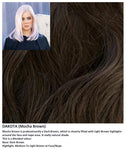 Dakota wig Rene of Paris Hi-Fashion (Long) - Hairlucinationswigs Ltd