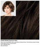 Diana Mono wig Stimulate Art Class Collection (VAT Exempt)