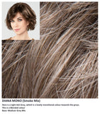 Diana Mono wig Stimulate Art Class Collection (Medium)