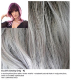Elliot wig Rene of Paris Noriko (VAT Exempt) - Hairlucinationswigs Ltd