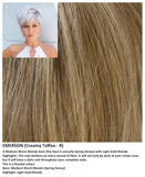 Emerson wig Rene of Paris Noriko (VAT Exempt) - Hairlucinationswigs Ltd