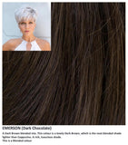 Emerson wig Rene of Paris Noriko (Short) - Hairlucinationswigs Ltd