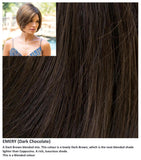 Emery wig Rene of Paris Noriko (Medium) - Hairlucinationswigs Ltd