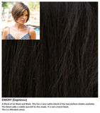 Emery wig Rene of Paris Noriko (Medium) - Hairlucinationswigs Ltd