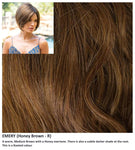 Emery wig Rene of Paris Noriko (Medium) - Hairlucinationswigs Ltd