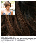 Emery wig Rene of Paris Noriko (VAT Exempt) - Hairlucinationswigs Ltd