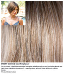 Emery wig Rene of Paris Noriko (Medium) - Hairlucinationswigs Ltd