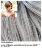 Emery wig Rene of Paris Noriko (Medium) - Hairlucinationswigs Ltd