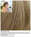 Erin wig Rene of Paris Amore (Medium) - Hairlucinationswigs Ltd