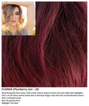 Evanna wig Rene of Paris Hi-Fashion (Medium) - Hairlucinationswigs Ltd