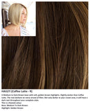 Hailey wig Rene of Paris Noriko (Medium) - Hairlucinationswigs Ltd