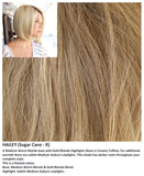 Hailey wig Rene of Paris Noriko (Medium) - Hairlucinationswigs Ltd