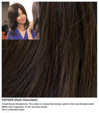 Hayden wig Rene of Paris Amore (VAT Exempt) - Hairlucinationswigs Ltd