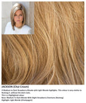 Jackson wig Rene of Paris Noriko (VAT Exempt) - Hairlucinationswigs Ltd