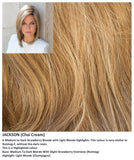 Jackson wig Rene of Paris Noriko (VAT Exempt) - Hairlucinationswigs Ltd