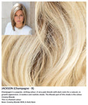 Jackson wig Rene of Paris Noriko (VAT Exempt) - Hairlucinationswigs Ltd