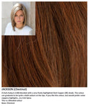 Jackson wig Rene of Paris Noriko (VAT Exempt) - Hairlucinationswigs Ltd